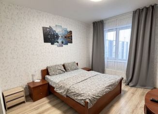 Сдам в аренду 1-ком. квартиру, 41 м2, Пермь, улица Революции, 48В