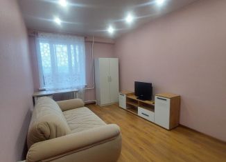 Сдается в аренду 1-ком. квартира, 38.8 м2, Новосибирск