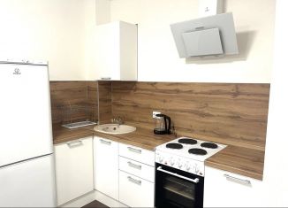 Сдается 1-ком. квартира, 35 м2, Санкт-Петербург, Пейзажная улица, 24к3, Красногвардейский район