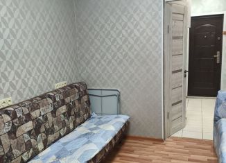 Сдаю в аренду квартиру студию, 19 м2, Новосибирск, улица Громова, 23, Кировский район