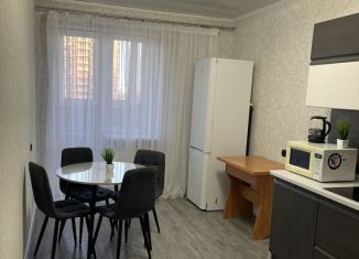 Сдача в аренду 1-ком. квартиры, 45 м2, Краснодар, проезд Репина, 5, Прикубанский округ