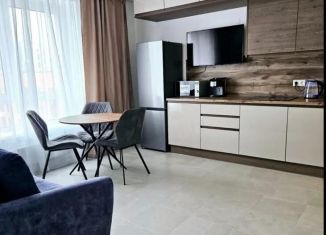 Сдаю 2-комнатную квартиру, 40 м2, Москва, Амурская улица, 2Ак2, ВАО