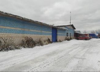 Сдам в аренду помещение свободного назначения, 300 м2, Ижевск, Октябрьский район