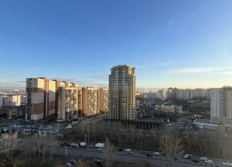 Сдам в аренду квартиру студию, 32 м2, Красноярск, Караульная улица, 39А