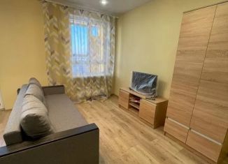 Сдам 1-ком. квартиру, 30 м2, Казань, улица Гавриила Державина, 3к2