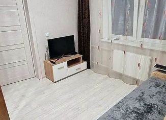 Сдается 1-ком. квартира, 27 м2, Ростов-на-Дону, улица Теряева, 8, ЖК Платовский