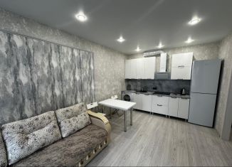 Аренда 1-комнатной квартиры, 40 м2, Тюмень, улица Разведчика Кузнецова, 7