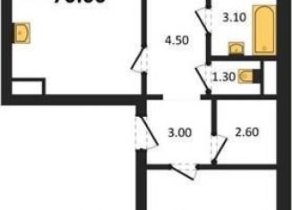 Продаю 2-ком. квартиру, 70 м2, Воронеж, улица Фёдора Тютчева, 105, ЖК Пять звёзд