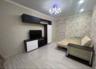 Сдаю 1-ком. квартиру, 45 м2, Казань, улица Родины, 26Б