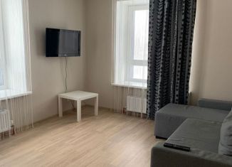 Сдача в аренду 1-ком. квартиры, 38 м2, Казань, улица Ноксинский Спуск, 30