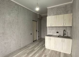 Квартира на продажу студия, 18 м2, Самарская область, улица Победы, 69