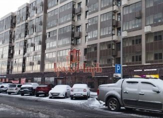 Квартира в аренду студия, 25.8 м2, деревня Пирогово, улица Ильинского, 4к1