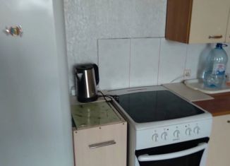 Сдается квартира студия, 41 м2, Новосибирск, Большевистская улица, 116, Октябрьский район