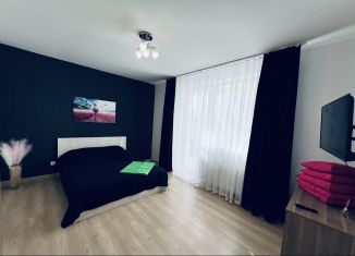 Сдача в аренду 1-ком. квартиры, 40 м2, Екатеринбург, Ремесленный переулок, 6, метро Ботаническая