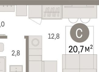 Продажа квартиры студии, 20.7 м2, Екатеринбург, метро Чкаловская