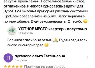 Аренда однокомнатной квартиры, 40 м2, Красноярск, улица Академика Киренского, 33, Октябрьский район