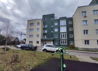 Продается 2-комнатная квартира, 82.4 м2, деревня Болтино, улица Баздырева, 11