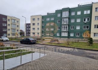 Продается 1-ком. квартира, 47.8 м2, деревня Болтино, улица Баздырева, 11