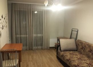 Сдается в аренду квартира студия, 30 м2, Тюмень, улица Ю.-Р.Г. Эрвье, 24к1, Центральный округ