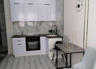 Аренда 1-комнатной квартиры, 40 м2, Краснодарский край, улица имени Героя Ростовского, 8к2