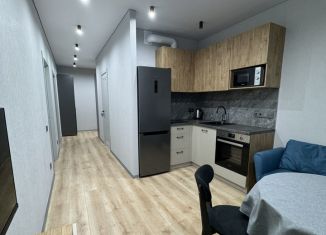 Аренда 2-комнатной квартиры, 50 м2, Пенза, улица Измайлова, 38