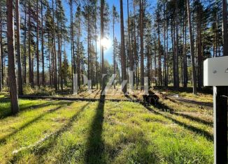 Продаю участок, 25 сот., деревня Варшко, Сосновая улица, 3/39