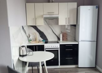 Аренда 1-комнатной квартиры, 30 м2, деревня Щемилово, улица Орлова, 2