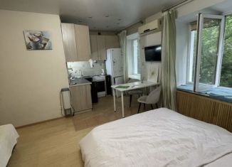 Сдается квартира студия, 38 м2, Республика Башкортостан, улица Пархоменко, 104