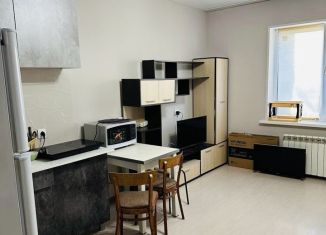 Квартира в аренду студия, 35 м2, Ногинск, Аптечный переулок, 6