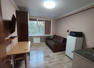 Квартира в аренду студия, 17 м2, Железноводск, улица Космонавтов, 30