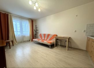 Аренда квартиры студии, 30 м2, Екатеринбург, Рассветная улица, 8к3, Кировский район