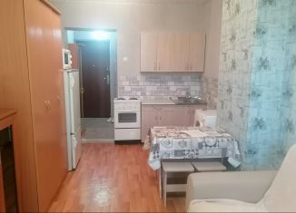 Квартира в аренду студия, 21 м2, Красноярск, улица Калинина, 15