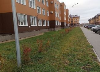 Продаю квартиру студию, 23.3 м2, Новгородская область, улица Арциховского, 11к1