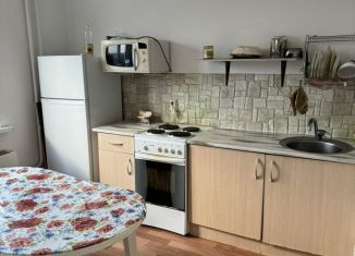 Сдаю двухкомнатную квартиру, 60 м2, Краснодар, улица Димитрова, 3/2