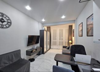 Продается квартира студия, 26.5 м2, село Краевско-Армянское, Измайловская улица, 20А