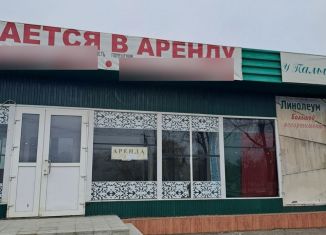 Сдается в аренду торговая площадь, 56 м2, Курская область, Красная улица, 63