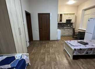 Сдаю квартиру студию, 30 м2, деревня Дудкино, Балтийская улица, 330