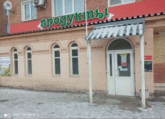 Продается торговая площадь, 73.1 м2, Красноярский край, улица Эйдемана, 8