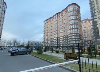 Сдается однокомнатная квартира, 33 м2, Ростов-на-Дону, Берберовская улица, 6с2, Пролетарский район