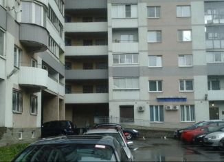 Сдаю в аренду 1-комнатную квартиру, 55 м2, Санкт-Петербург, Пискарёвский проспект, 37к2, Красногвардейский район