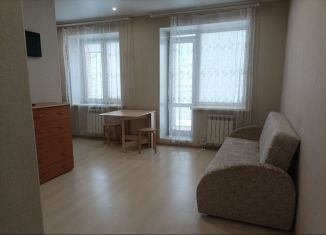 Сдача в аренду квартиры студии, 40 м2, Омск, улица Крупской, 14