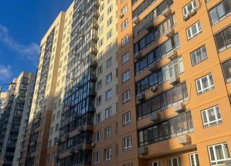 Квартира на продажу студия, 24 м2, Московская область, Озёрная улица, 7