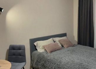 Аренда квартиры студии, 30 м2, Татарстан, улица Адоратского