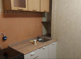 Сдам 1-комнатную квартиру, 44 м2, Екатеринбург, Эскадронная улица