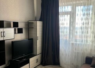 Сдаю квартиру студию, 20 м2, Краснодар, Заполярная улица, 37к5