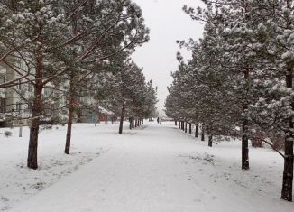 Сдаю в аренду гараж, 18 м2, Красноярск, Советский район, улица Тельмана, 49