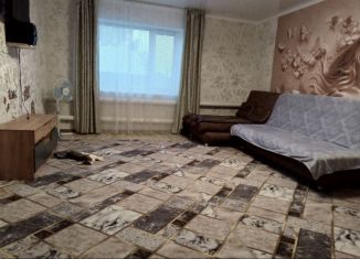 Сдача в аренду дома, 60 м2, Елабуга, улица Тугарова, 52