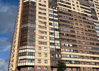 Продаю квартиру студию, 24 м2, Санкт-Петербург, Пулковское шоссе, 40к3, Московский район