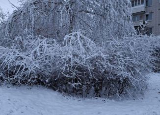 Продается 2-ком. квартира, 56 м2, Йошкар-Ола, улица Петрова, 13, микрорайон Центральный