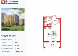 Продажа квартиры студии, 24.6 м2, Санкт-Петербург, муниципальный округ Коломяги